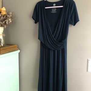 Kindred Bravely Maternity Nursing Dress